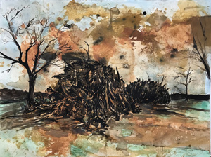 Burn Piles by Richard Curtis